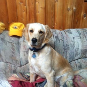 Meet your Posher, Rick